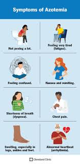 High Azotemia: Causes And Advice For Lowering it - Edition Time
