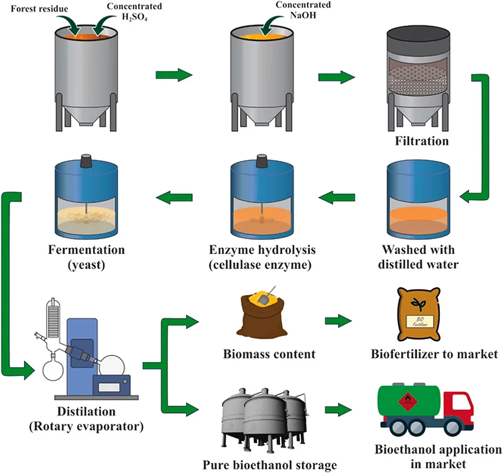 Diy Bioethanol, The Production Phases - Edition Time
