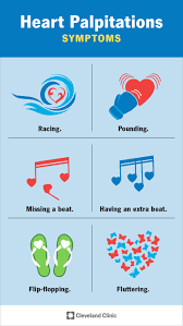 Heart Pounding: Causes And Meaning - Edition Time