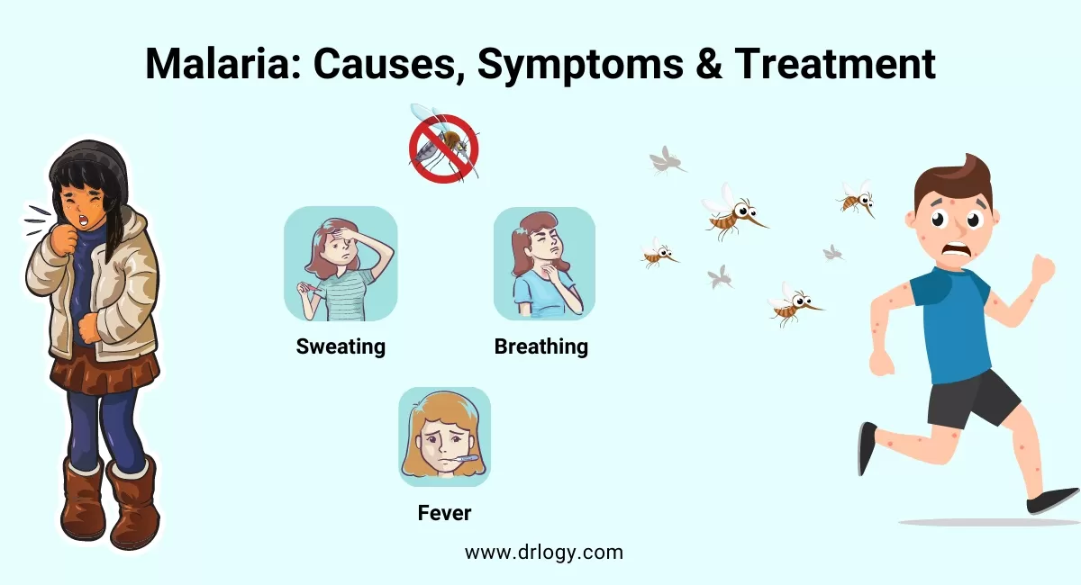 Fourth Disease: Symptoms And Diagnosis - Edition Time