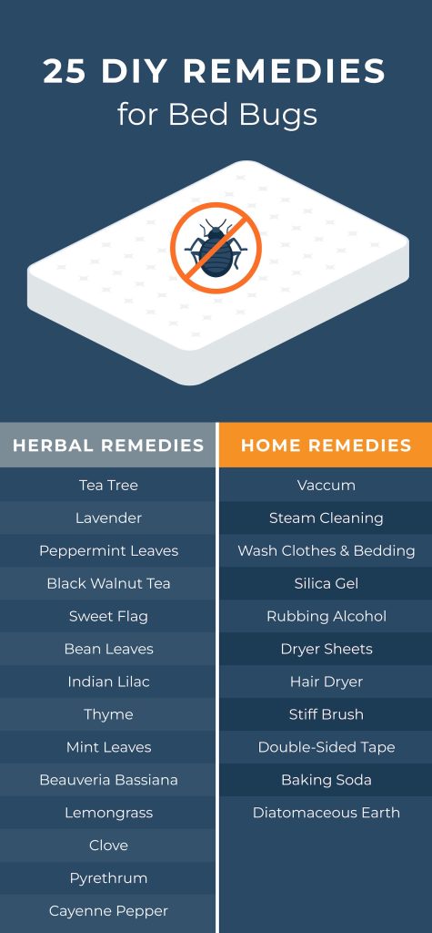 Curated visual reference: Gallery Detail: Bed Bug Remedies